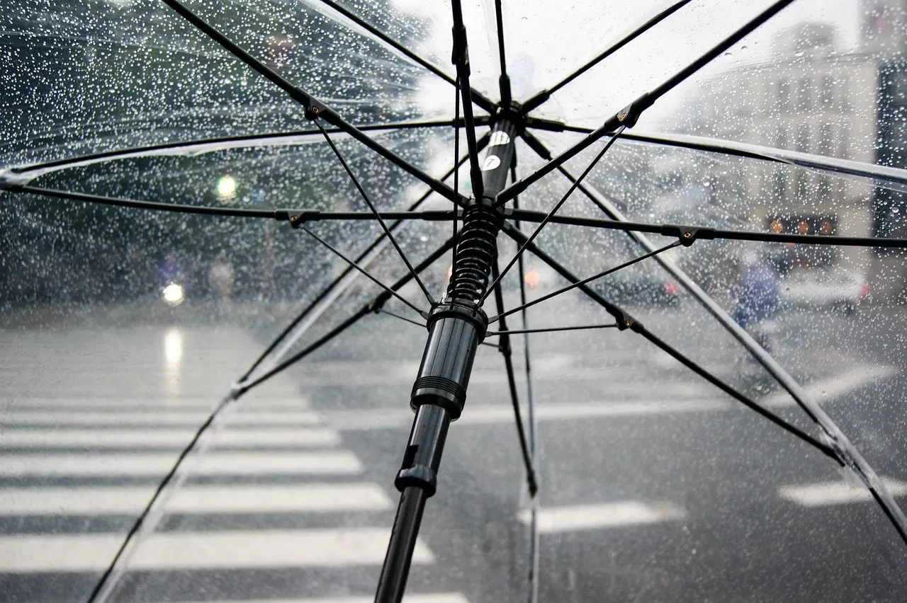 Clear umbrella with raindrops over a city crosswalk